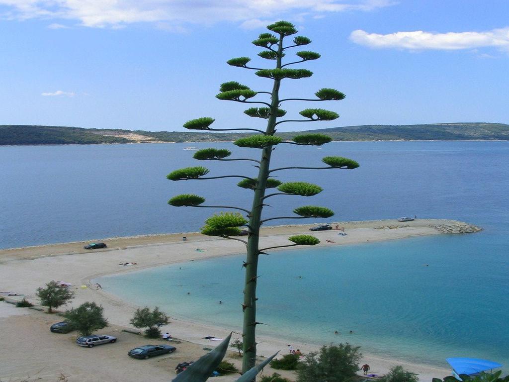 Guesthouse Marin Split Kültér fotó